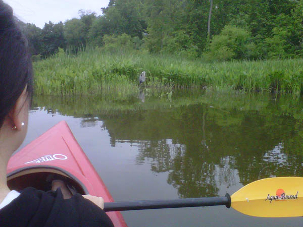 Kayaking the Dyke Marsh